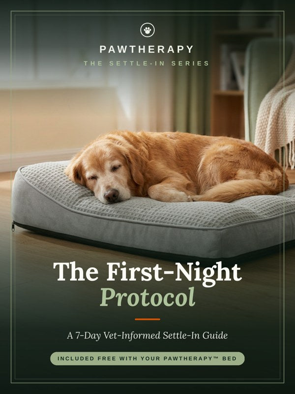 The First-Night Protocol guide